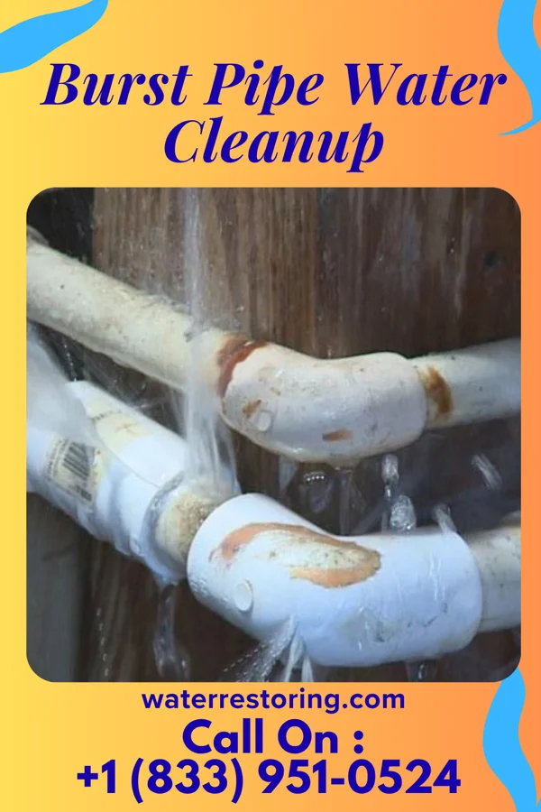 Burst Pipe Water Cleanup in Briar, TX