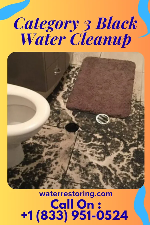 Category 3 Black Water Cleanup in Briar, TX