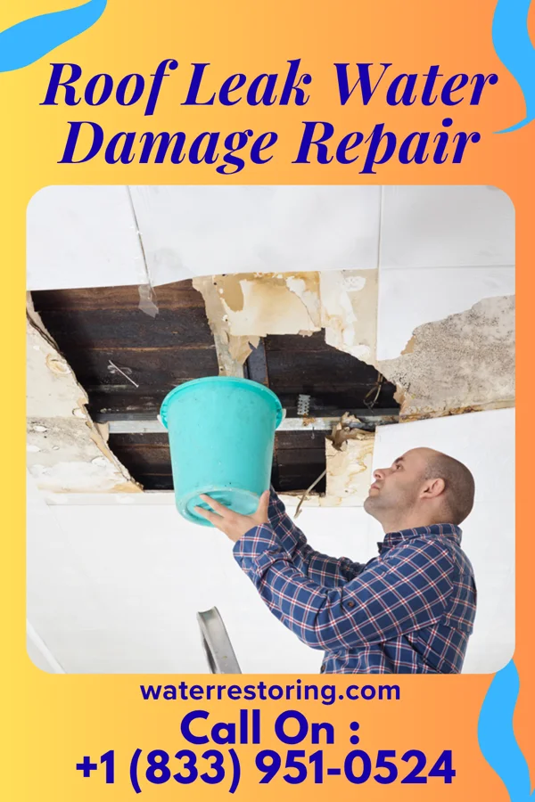 Roof Leak Water Damage Repair in Briar, TX